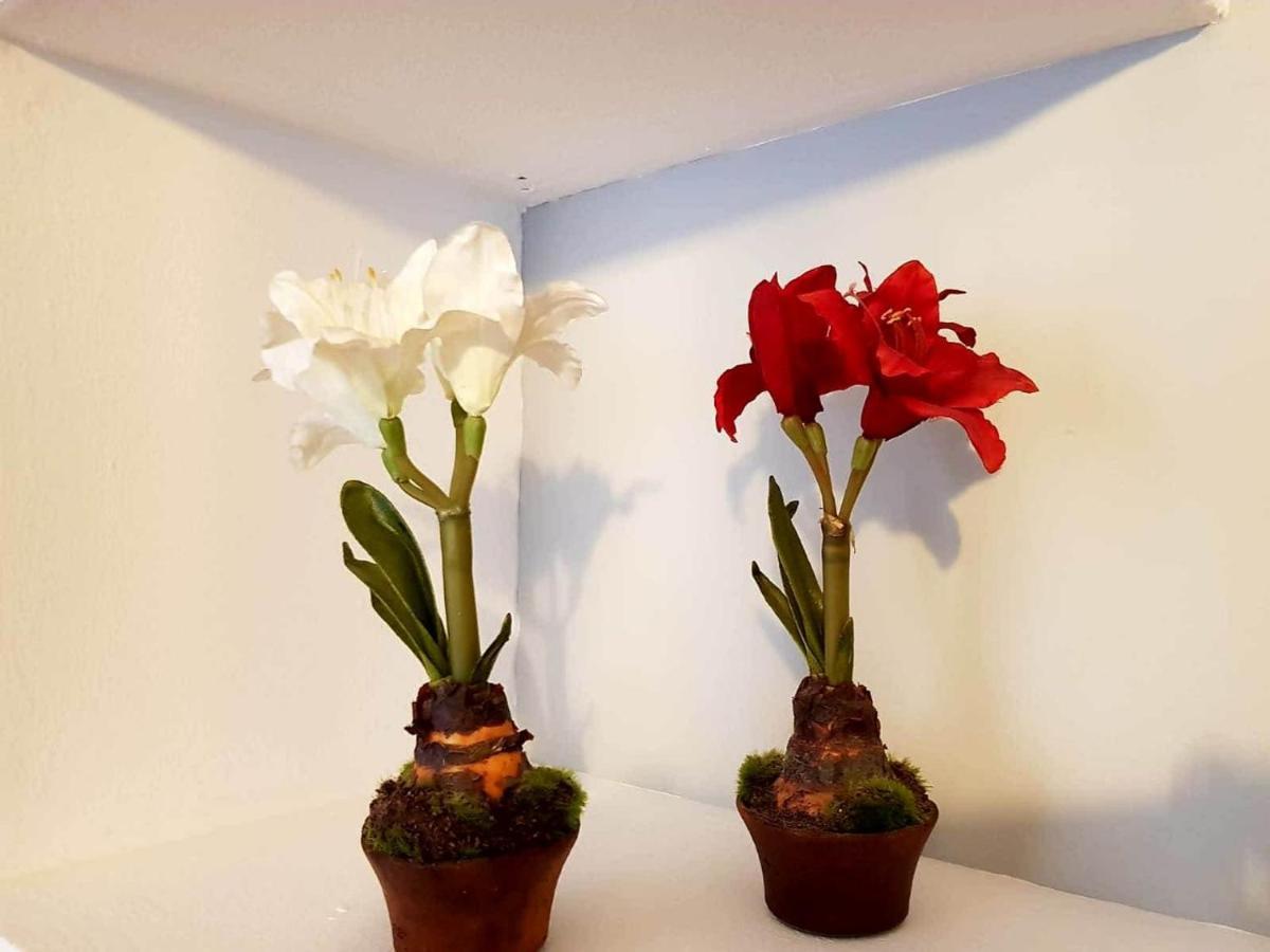 Apartamento Cortadura Beach Cadiz Dış mekan fotoğraf